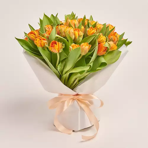 Изображение товара Букет 51 Оранжевый пионовидный тюльпан, упаковка: Белая, артикул: 3009