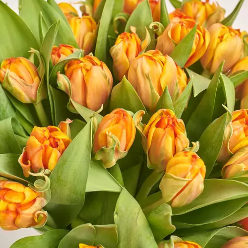 Product image Bouquet 51 Orange peony tulip, packaging: Kafin rust, vendor code: 3009