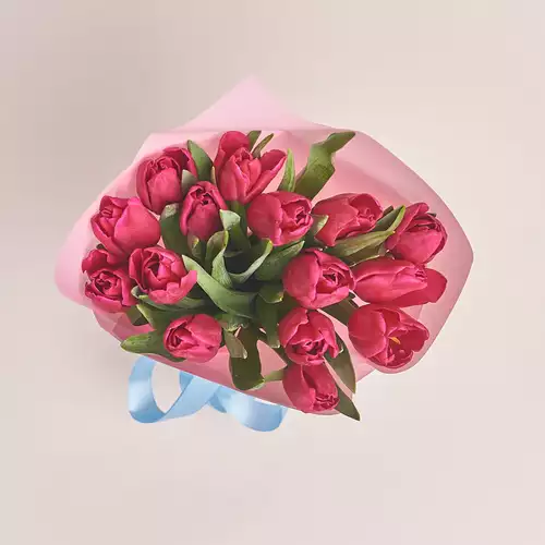 Product image Bouquet of 15 Hot pinkTulips, packaging: Pink, vendor code: 3012