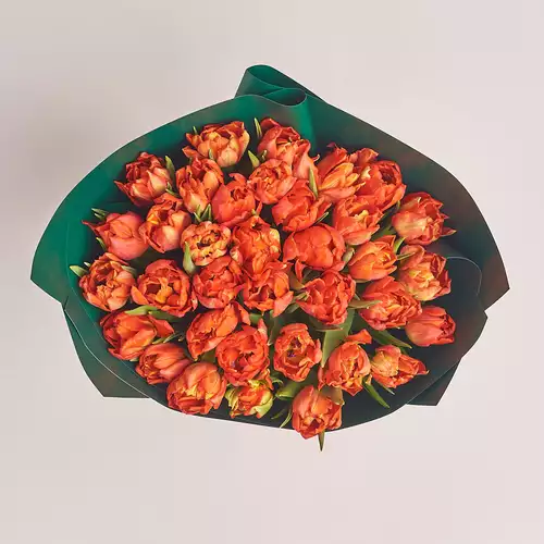 Product image Bouquet 35 Red peony tulip, packaging: Green, vendor code: 3013