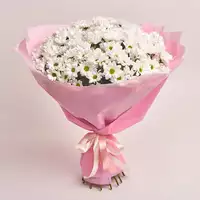 Bouquet of 25 White Chrysanthemums