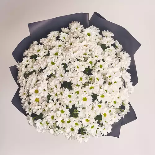 Product image Bouquet of 25 White Chrysanthemums, packaging: 
Graphite, vendor code: 3015