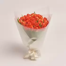 Букет 25 Червоних піоновидних тюльпанів