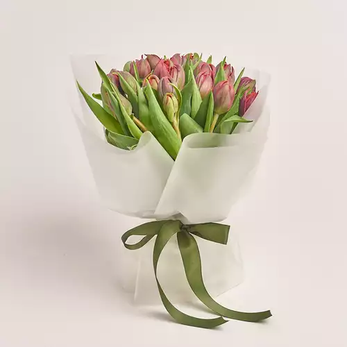 Product image Bouquet 25 Red peony Tulips, packaging: Transparent, vendor code: 3016