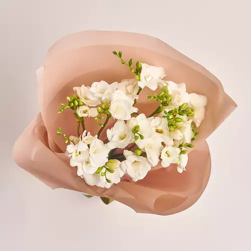 Product image Bouquet of 11 White Freesias, packaging: Powder, vendor code: 3018