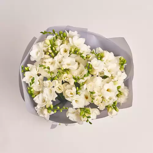 Product image Bouquet of 25 White Freesias, packaging: Gray, vendor code: 3020