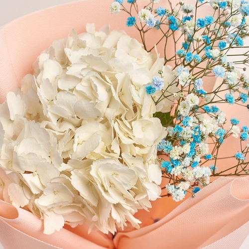 Изображение товара Букет 1 Белая Гортензия и Гипсофила, упаковка: Каффин розовый, артикул: 3022