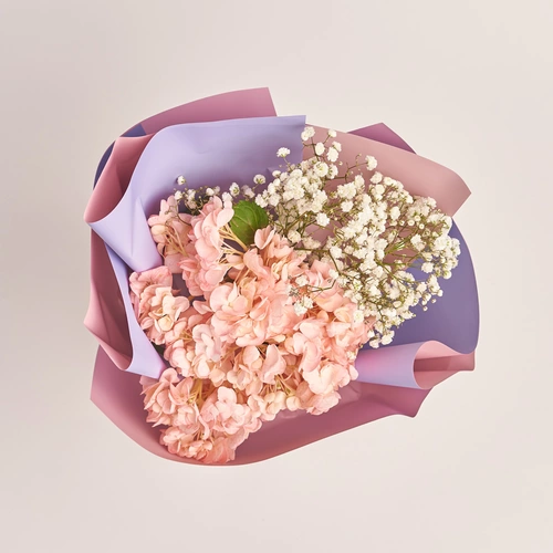 Product image Bouquet 1 Pink Hydrangea and Gypsophila , packaging: Gradiens violet, vendor code: 3023
