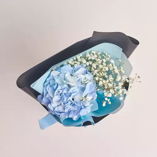 Product image Bouquet 1 Blue Hydrangea and Gypsophila , packaging: 
Graphite, vendor code: 3024