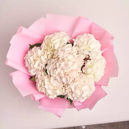 Product image Bouquet of 7 White Hydrangeas, packaging: Pink, vendor code: 3025