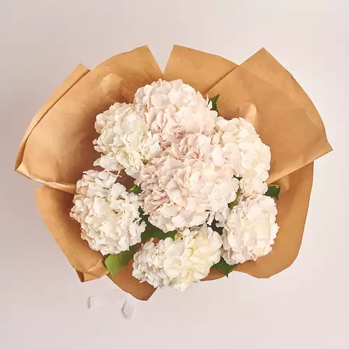 Product image Bouquet of 7 White Hydrangeas, packaging: Сraft, vendor code: 3025