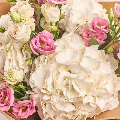 Изображение товара Букет 3 Белые Гортензии и Эустома, упаковка: Пудровая, артикул: 3027