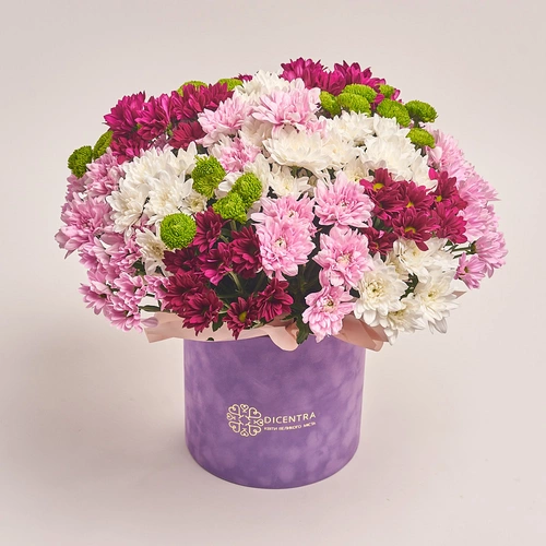 Product image Box of 25 Chrysanthemum Mix, packaging: Purple, vendor code: 3028