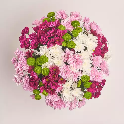 Product image Box of 25 Chrysanthemum Mix, packaging: Purple, vendor code: 3028