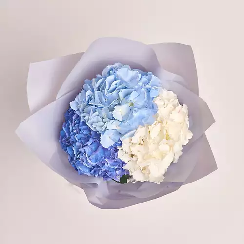 Product image Bouquet of 3 Hydrangeas Mix №2, packaging: Gray, vendor code: 3029