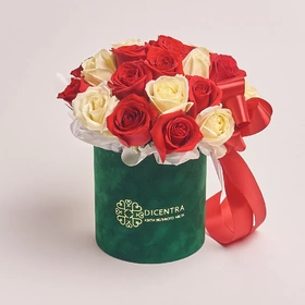 Коробка 25 Червоних та Білих Троянд