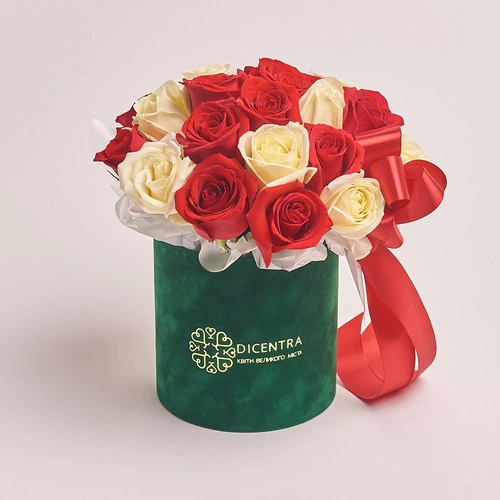 Product image Box 25 Red and White Rose, packaging: Green, vendor code: 3076