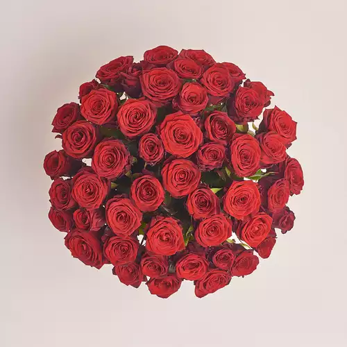 Product image Box 51 Red Rose Extra!, packaging: Pink, vendor code: 3077