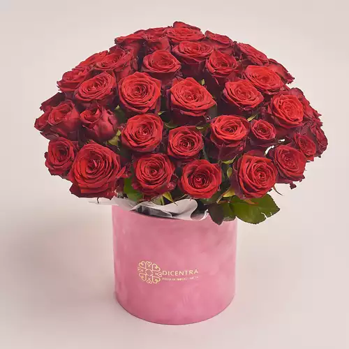 Product image Box 51 Red Rose Extra!, packaging: Pink, vendor code: 3077