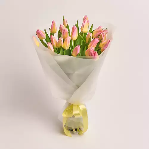 Зображення товару , артикул: 