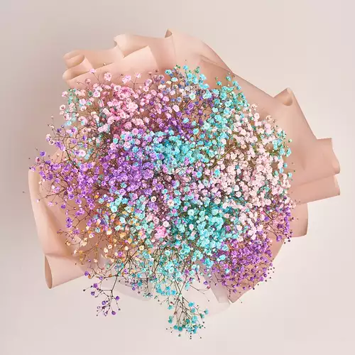 Product image Bouquet 9 Gypsophila Painted, packaging: Powder, vendor code: 3082