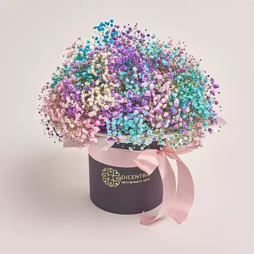 Product image Box 11 Gypsophila Painted, packaging: Black, vendor code: 3083