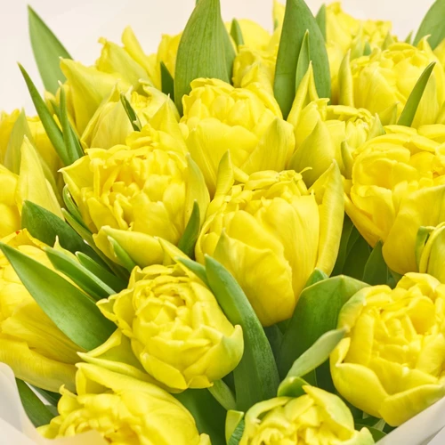 Product image Bouquet 25 Yellow peony tulip, packaging: Transparent, vendor code: 3085