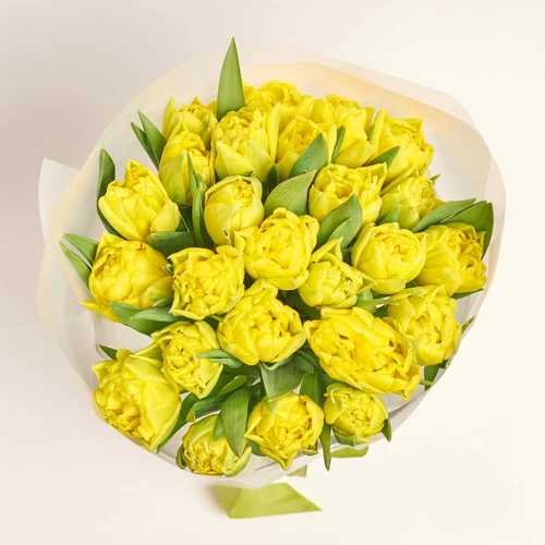 Product image Bouquet 25 Yellow peony tulip, packaging: Transparent, vendor code: 3085