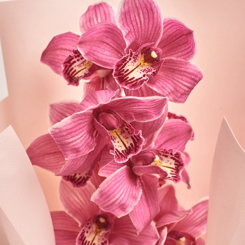 Product image Bouquet of 1 Pink Cymbidium, packaging: Kafin rose, vendor code: 3087