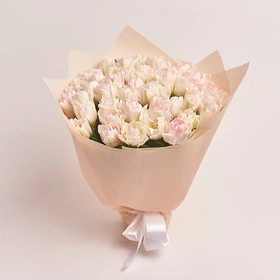 Букет 51 Бело-розовый пионовидный тюльпан