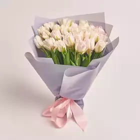 Букет 25 Біло-рожевих піоновидних тюльпанів