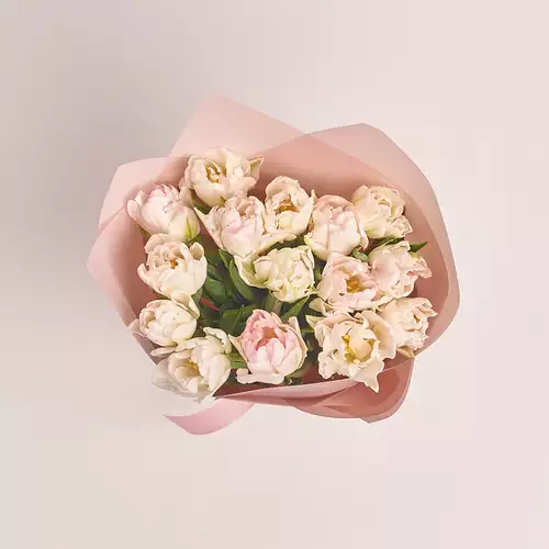 Product image Bouquet 15 White-pink peony tulip, packaging: Powder, vendor code: 3090