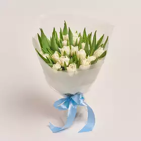 Букет 25 Білих піоновидних тюльпанів
