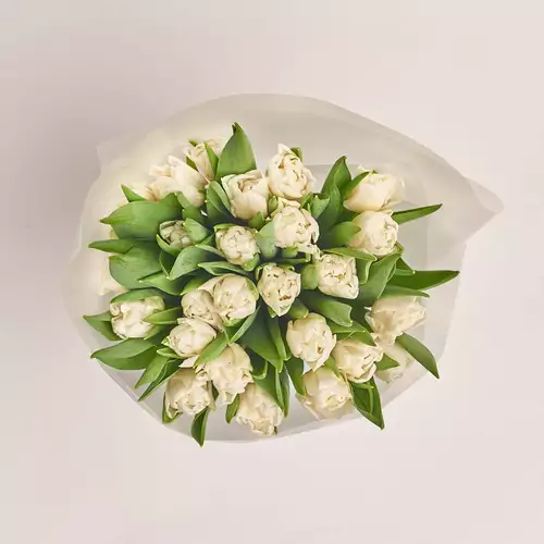 Product image Bouquet 25 White peony tulip, packaging: Transparent, vendor code: 3092