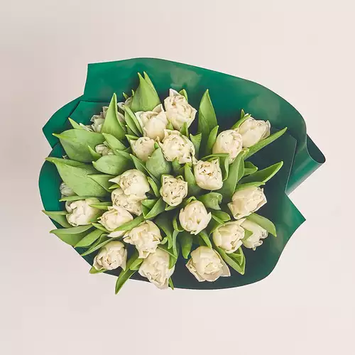 Product image Bouquet 25 White peony tulip, packaging: Green, vendor code: 3092