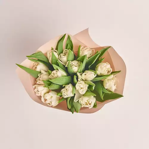 Product image Bouquet 15 White peony tulip, packaging: Powder, vendor code: 3093