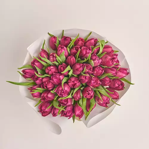 Product image Bouquet 51 Violet peony tulip, packaging: White, vendor code: 3094