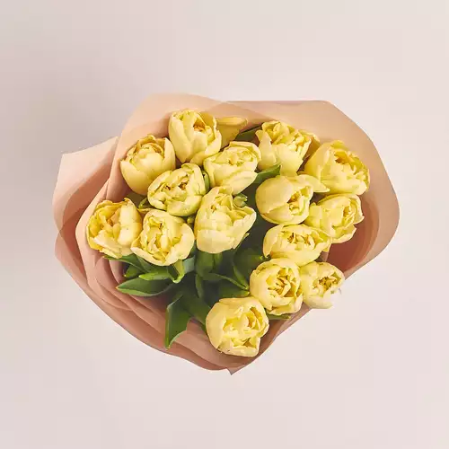 Product image Bouquet 15 Cream peony tulip, packaging: Powder, vendor code: 3109