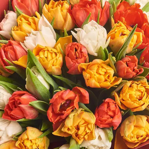 Product image Bouquet 51 Peony tulips mix, packaging: Red, vendor code: 3110