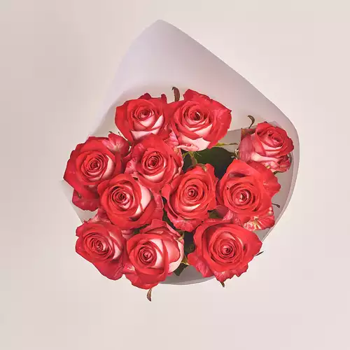 Product image Bouquet of 11 Roses All Star, packaging: Gray, vendor code: 3115