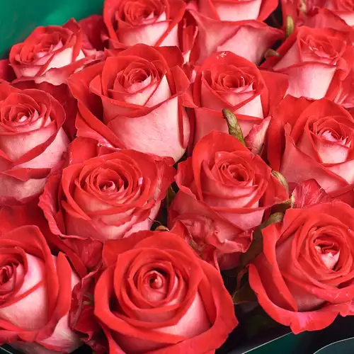 Product image Bouquet of 11 Roses All Star, packaging: Gray, vendor code: 3115