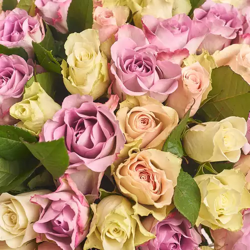 Product image Box of 51 Roses Atena and Memory, packaging: Purple, vendor code: 3116