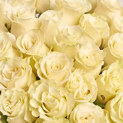 Изображение товара Букет 51 Роза Мондиаль 80 см, упаковка: Пудровая, артикул: 3117