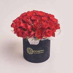Коробка 31 роза Родос
