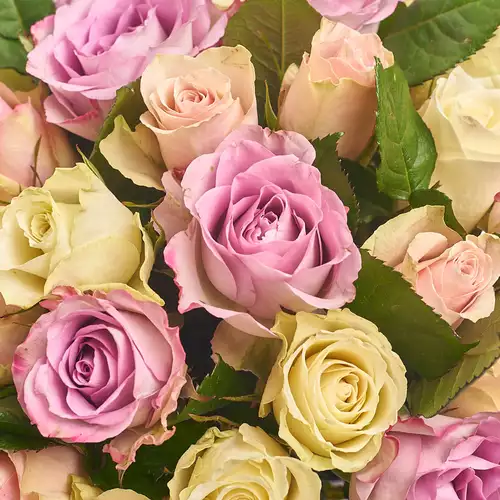 Product image Box of 31 Roses Atena and Memory, packaging: Blue, vendor code: 3118