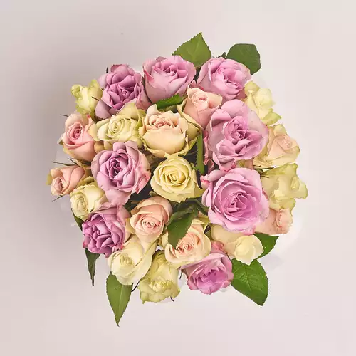 Product image Box of 25 Roses Atena and Memory, packaging: Pink, vendor code: 3119