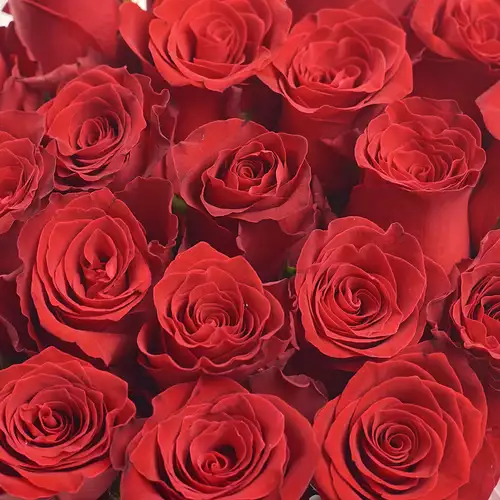 Product image Box of 21 Roses Rhodos, packaging: Pink, vendor code: 3121