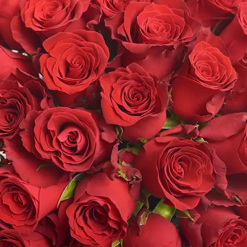 Product image Box of 31 Roses Rhodos, packaging: Gray, vendor code: 3124