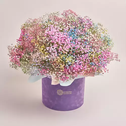 Product image Box of 51 Coloured Gypsophila, packaging: Purple, vendor code: 3125