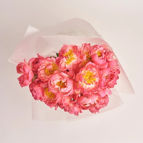 Product image Bouquet of 25 Coral Peonies, packaging: Transparent, vendor code: 3127